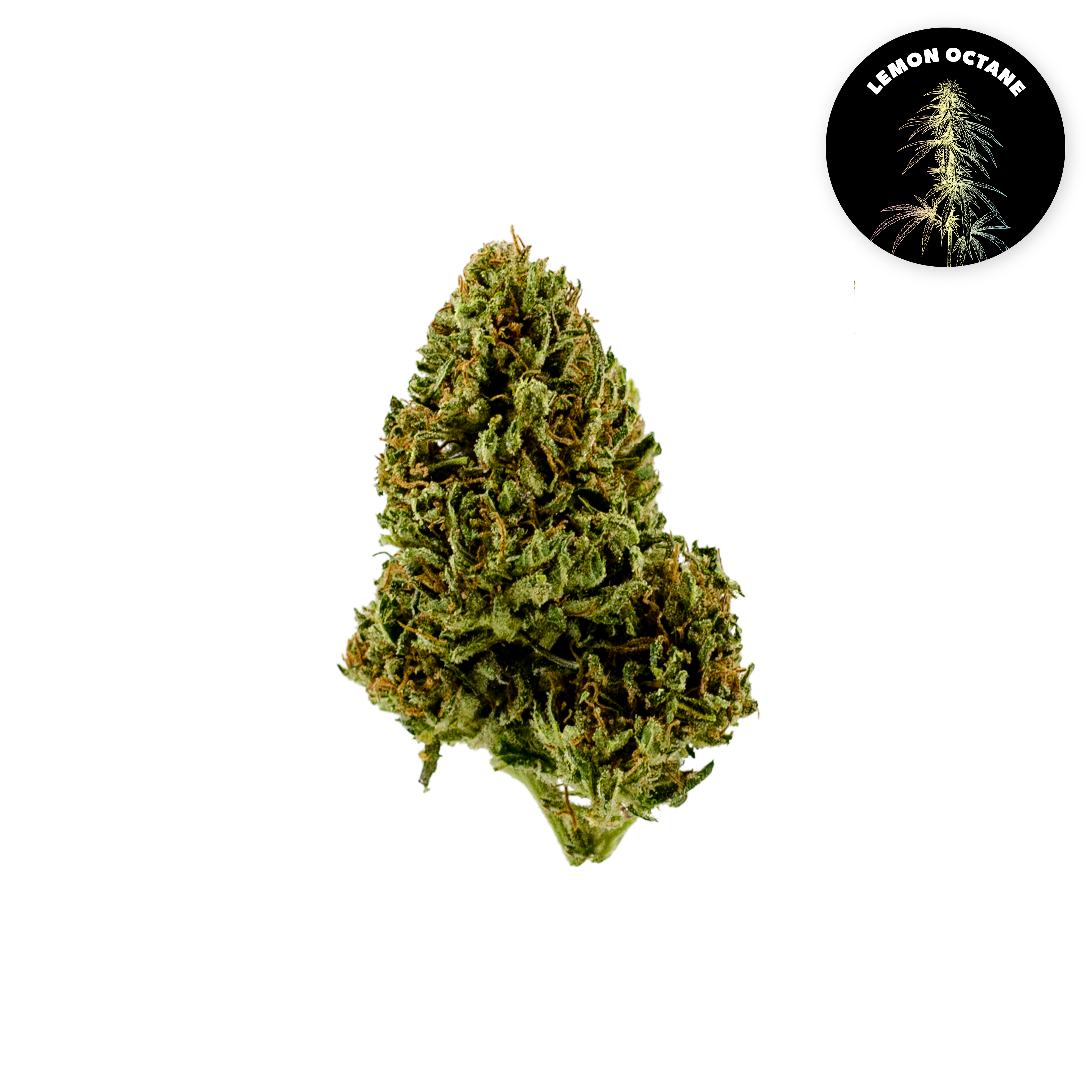 Lemon Octane Organic Hemp Flower • Limited Edition