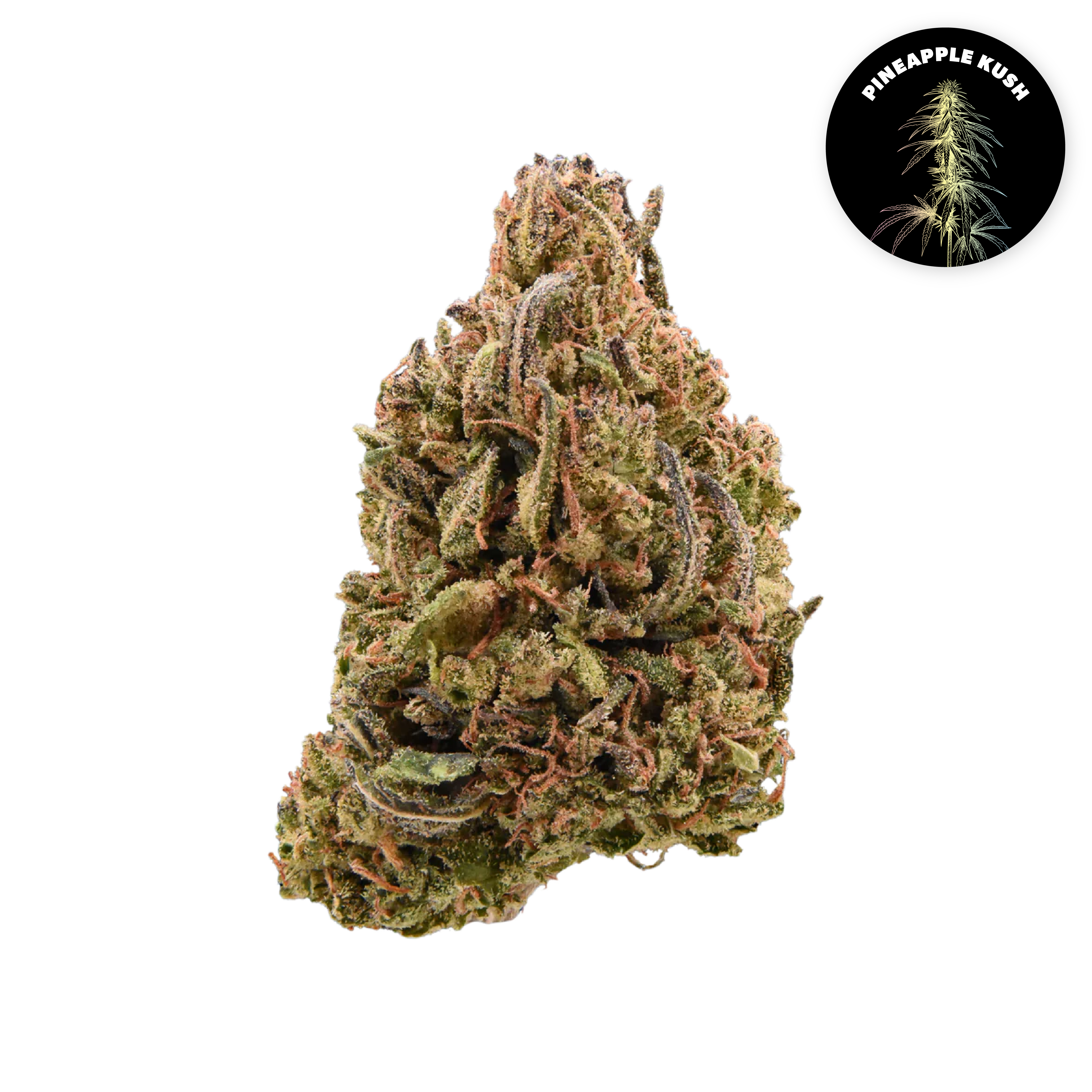 Pineapple Kush Organic Hemp Flower • Limited Edition