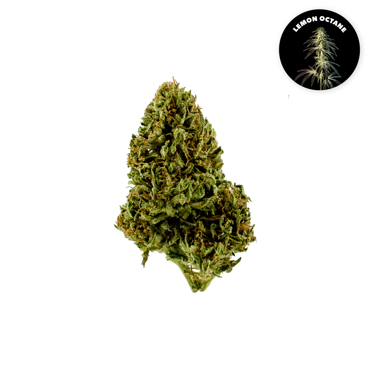 Lemon Octane Organic Hemp Flower • Limited Edition