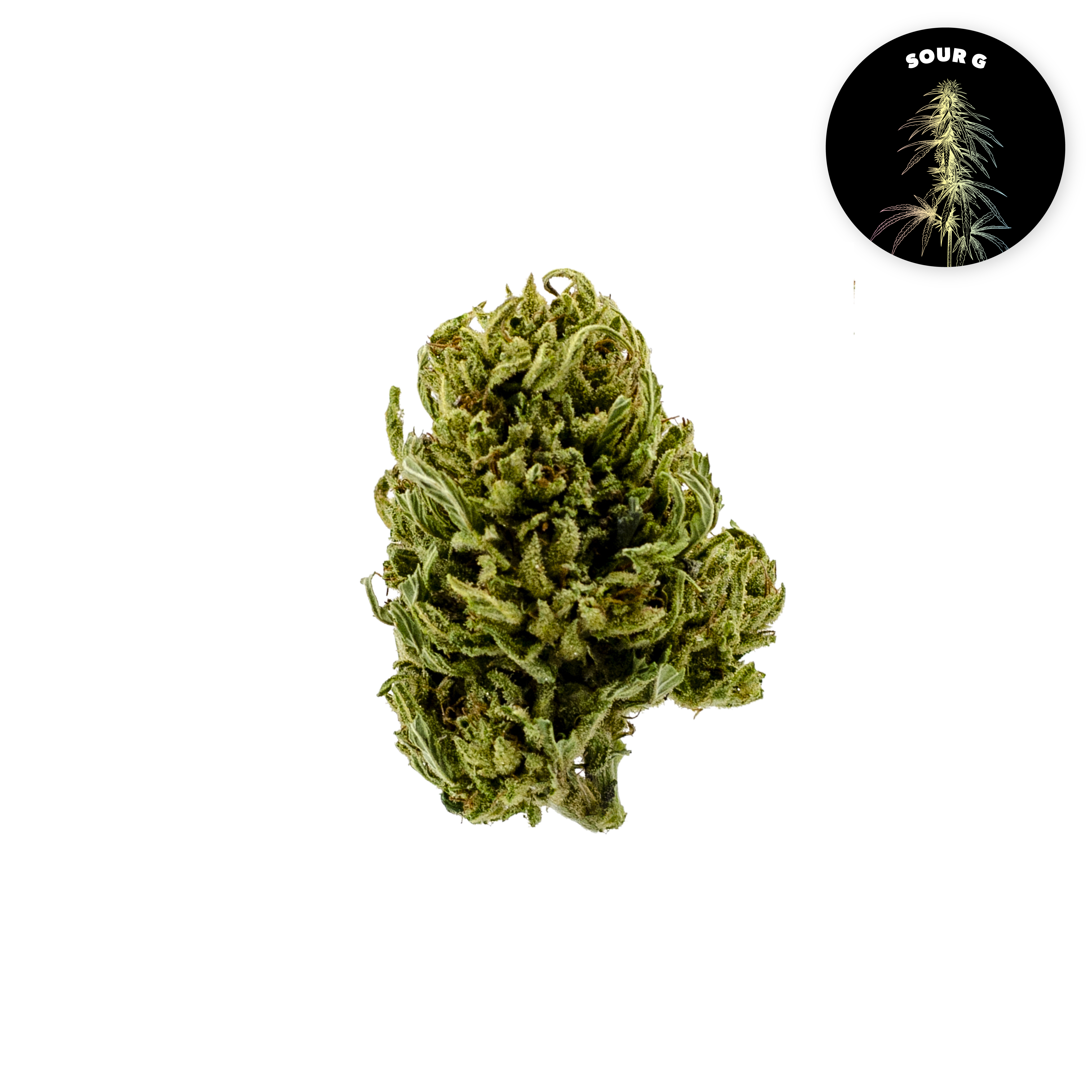 Sour G Organic Hemp Flower • Limited Edition