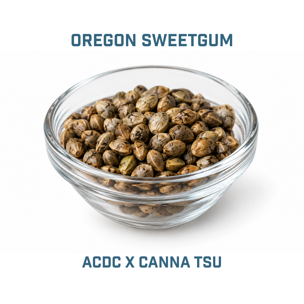 Feminized Cannabis Seed | Type 3